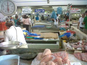 豪快に切り分けられる白身の魚。パナマの魚市場